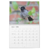 2024 Zangvogels Kalender (Mar 2026)