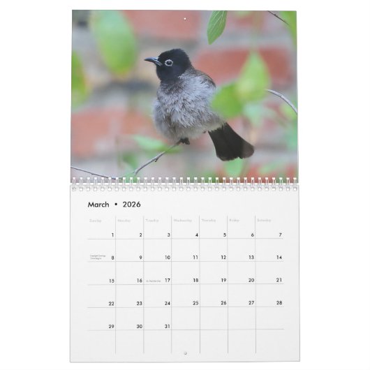 2024 Zangvogels Kalender (Mar 2026)
