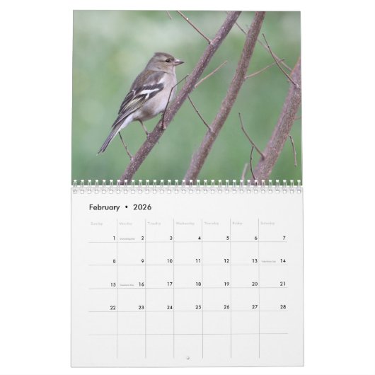 2024 Zangvogels Kalender (Feb 2026)