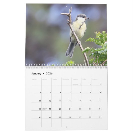 2024 Zangvogels Kalender (Jan 2026)