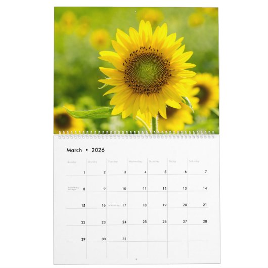 2024 Zonnebloemen Kalender (Mar 2026)