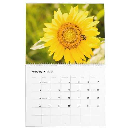 2024 Zonnebloemen Kalender (Feb 2026)
