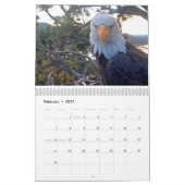 2025-2026 Big Beer Eagles Kalender (Feb 2027)