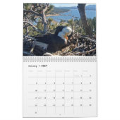 2025-2026 Big Beer Eagles Kalender (Jan 2027)