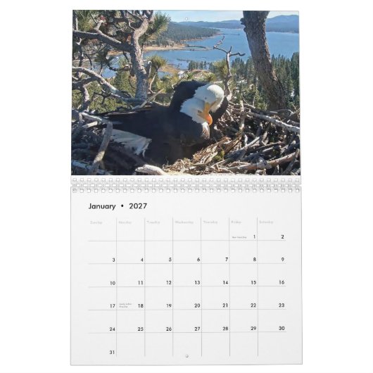 2025-2026 Big Beer Eagles Kalender (Jan 2027)