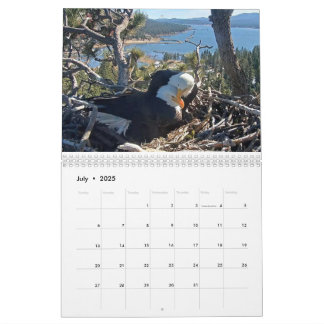 2025-2026 Big Beer Eagles Kalender