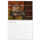 2025 Achtertuin Vogels Kalender (Mar 2026)