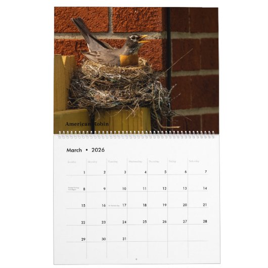 2025 Achtertuin Vogels Kalender (Mar 2026)