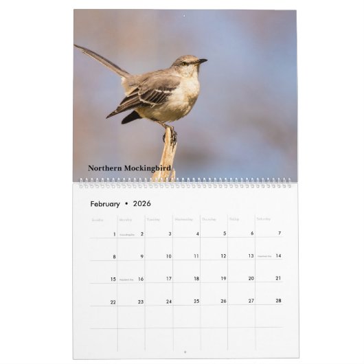 2025 Achtertuin Vogels Kalender (Feb 2026)