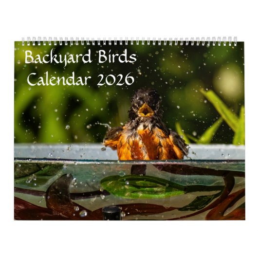2025 Achtertuin Vogels Kalender (Hoes)