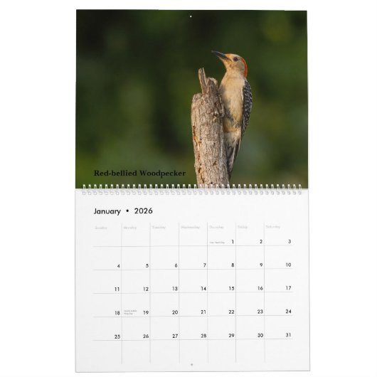 2025 Achtertuin Vogels Kalender (Jan 2026)