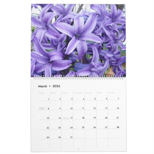 2025 All Seasons Landschap en Bloemenkalender Kalender (Mar 2026)
