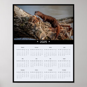 2025 Amerikaanse Mink Muur Kalender Poster