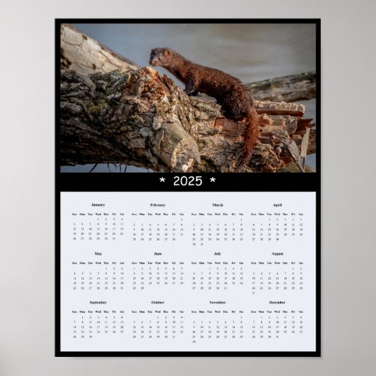 2025 Amerikaanse Mink Muur Kalender Poster (Voorkant)