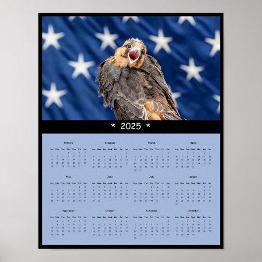 2025 Aplomado-valk kalenderposter Poster (Voorkant)