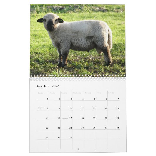 2025 Baby Schapenlam Kalender (Mar 2026)