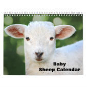 2025 Baby Schapenlam Kalender (Hoes)