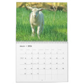 2025 Baby Schapenlam Kalender (Mar 2026)