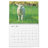 2025 Baby Schapenlam Kalender (Mar 2027)