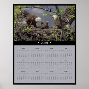 2025 Bald Eagle Muur Kalender Poster