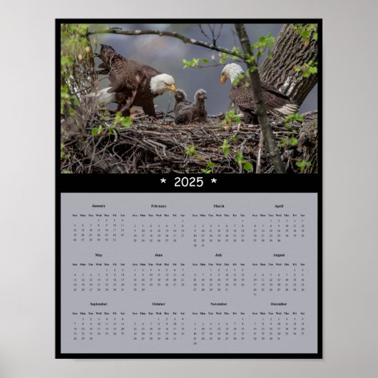 2025 Bald Eagle Muur Kalender Poster (Voorkant)