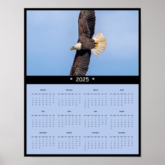2025 Bald Eagle Muur Kalender Poster (Voorkant)