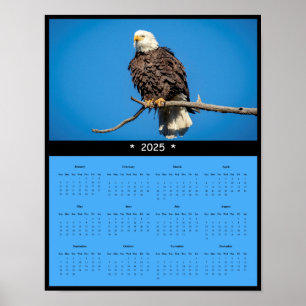 2025 Bald Eagle Muur Kalender Poster