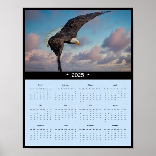 2025 Bald Eagle Muur Kalender Poster (Voorkant)