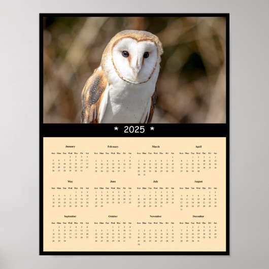 2025 Barn Owl Muurkalender Poster (Voorkant)