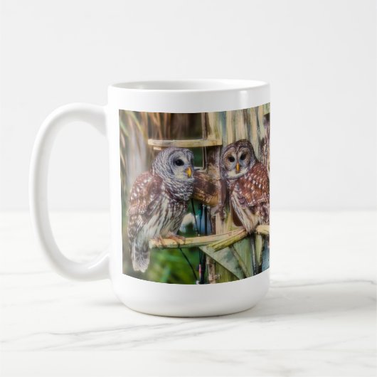 2025_Barred Owl Mug Koffiemok (Links)