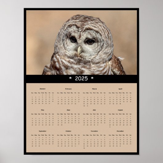 2025 Barred Owl Wall Calendar Poster (Voorkant)