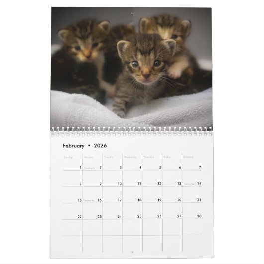 2025 Bengaalse kat Kalender (Feb 2026)