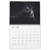 2025 Black Cats Fotokalender Kalender (Mar 2027)
