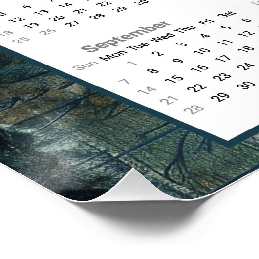 2025 Blauw Roos Kalender Perfect Poster (Hoek)