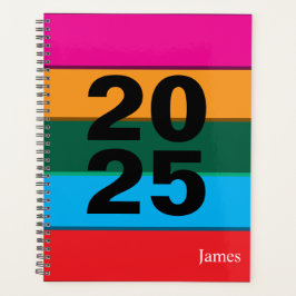 2025 Bold Kleurrijke lijnen Planner