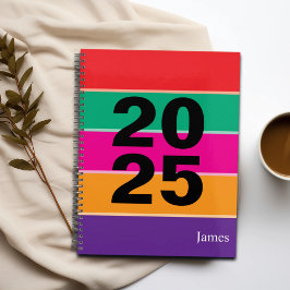 2025 Bold Kleurrijke lijnen Planner