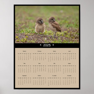 2025 Burrowing Owls Muurkalender Poster