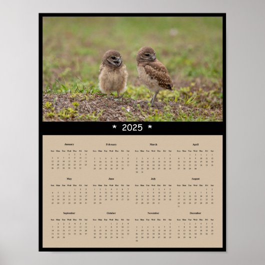 2025 Burrowing Owls Muurkalender Poster (Voorkant)
