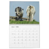 2025 Butts Kalender (Mar 2026)