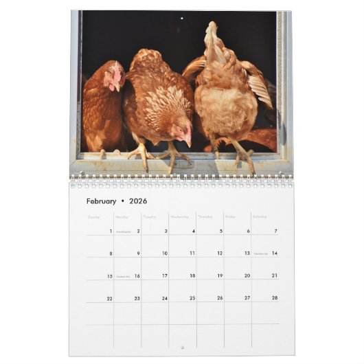 2025 Butts Kalender (Feb 2026)