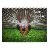 2025 Butts Kalender (Hoes)