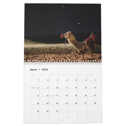 2025 Camel Kalender (Mar 2026)