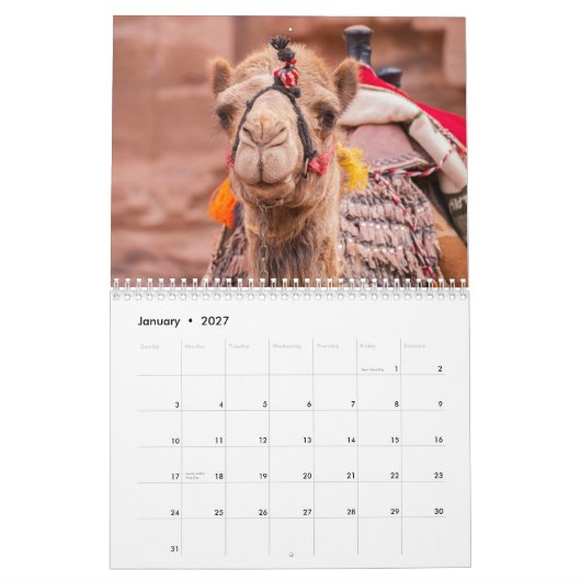 2025 Camel Kalender (Jan 2027)