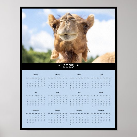 2025 Camel Wandkalender Poster (Voorkant)