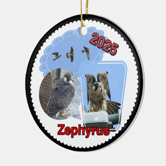2025 Ceramic Circle Ornament Zephyrus (Links)