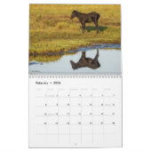 2025 Chincoteague Ponies 18 maanden Kalender (Feb 2026)