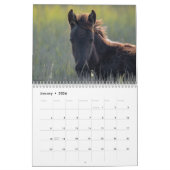 2025 Chincoteague Ponies 18 maanden Kalender (Jan 2026)