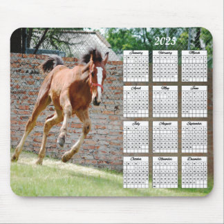 2025 Colt Renkalender Muismat