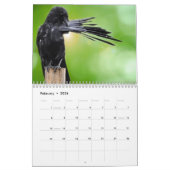 2025 Crow Raven Kalender (Feb 2026)