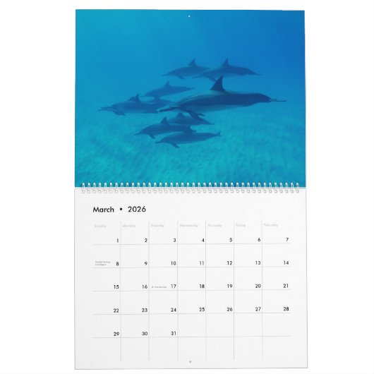 2025 Dolfijnmuur Kalender Sealife (Mar 2026)